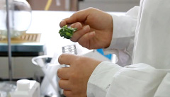 生產(chǎn)研發(fā)